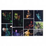EDOARDO BENNATO ANTONIO DUBOIS FDA FALSI D'AUTORE FALSIDELLARCHITETTOBENNATO COVER BAND UFFICIALE STUDIOLIVE COVER BACK 2010